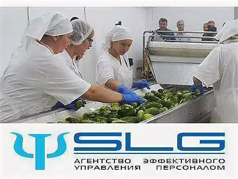 Ищу работу в черкесске. Работа в черкесске на авито свежие вакансии. Черкесск лермонтово 169. Цифроград липецк. Работа в черкесске.