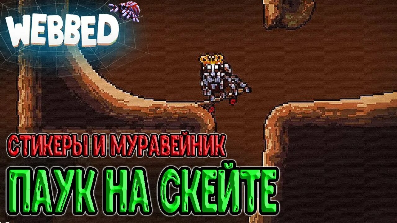 Веббед. Webbed игра. Игра про паука webbed. Webbed игра Муравейник. Webbet.