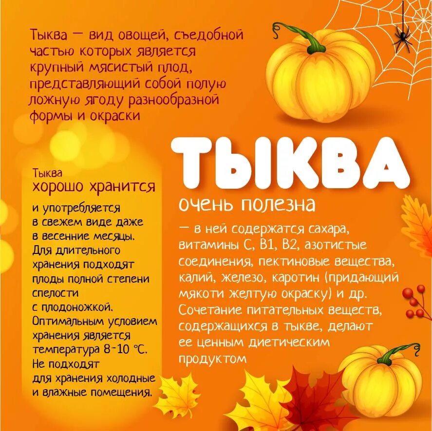 Тыква полезные витамины. Чем полезна тыква. факты о тыкве. тыква полезные свойства. витамины в тыкве.