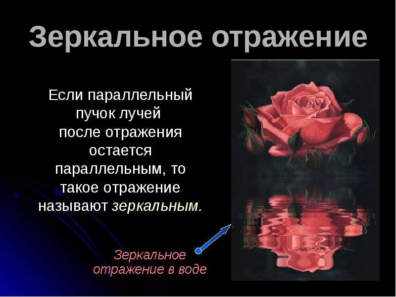 Отражаются стихи. Отражение в воде стихи. Цитаты про отражение в воде. Отражение стихи. Стихи про зеркало и отражение.