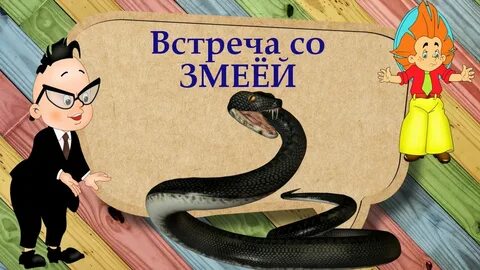 Аудиокнига гадюка