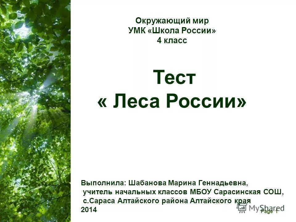 Типы лесов в россии. Цепь питания в тайге 4 класс. Природные зоны хвойные леса. Россия страна лесов. Типы лесов в россии.