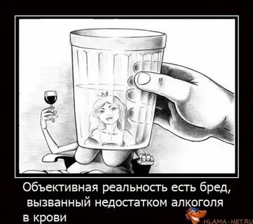 Обыденная реальность это