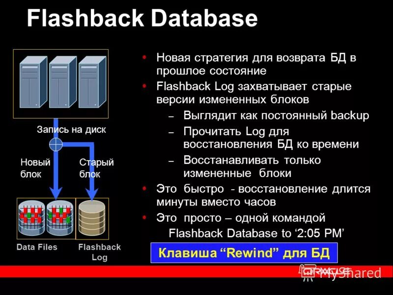 Database 10. Database 10