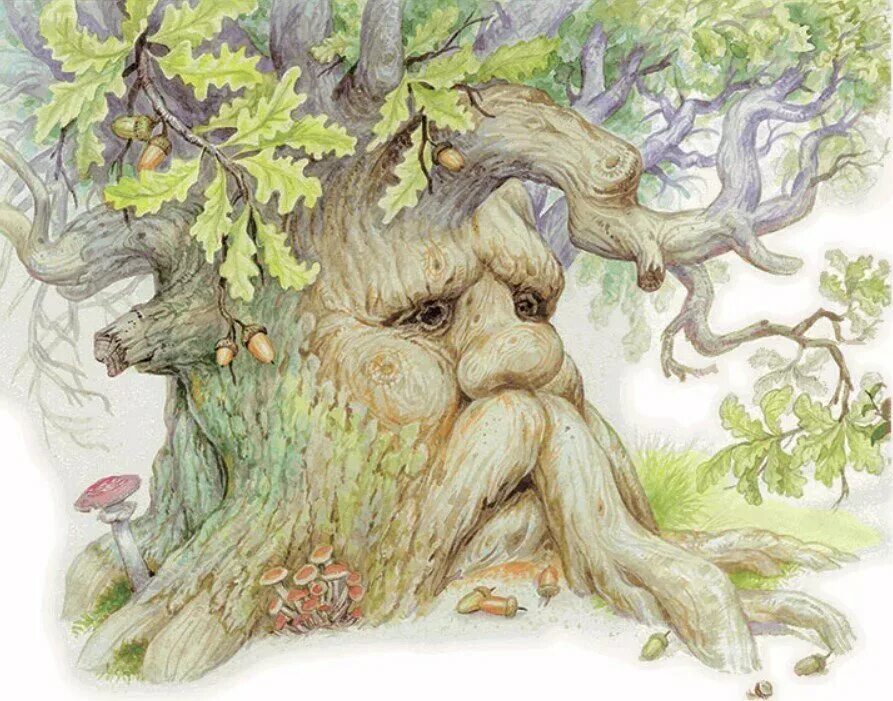 Человек под дубом. Леший Диадох. Л. Н. толстой «дуб и орешник».. Сказочное дерево. Дуб рисунок.