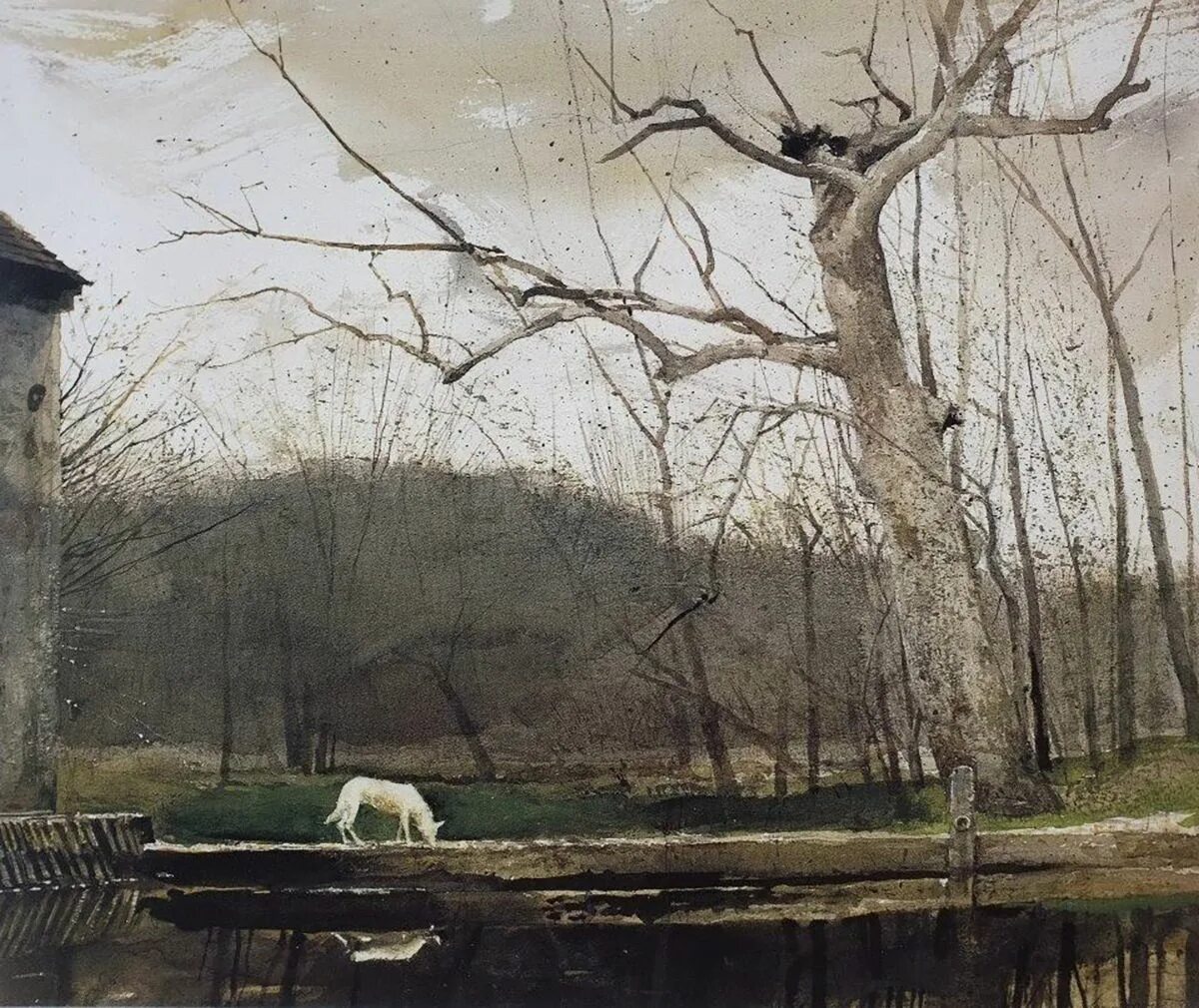 Картины эндрю. Andrew Wyeth. Эндрю Уайет картины. Эндрю Уайт художник. Эндрю Ньюэлл Уайет.