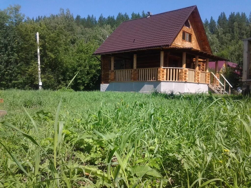 Дом в предгорье Алтая. Старая Ажинка Алтайский край. Домики в Горном Алтае. Дача в предгорье.