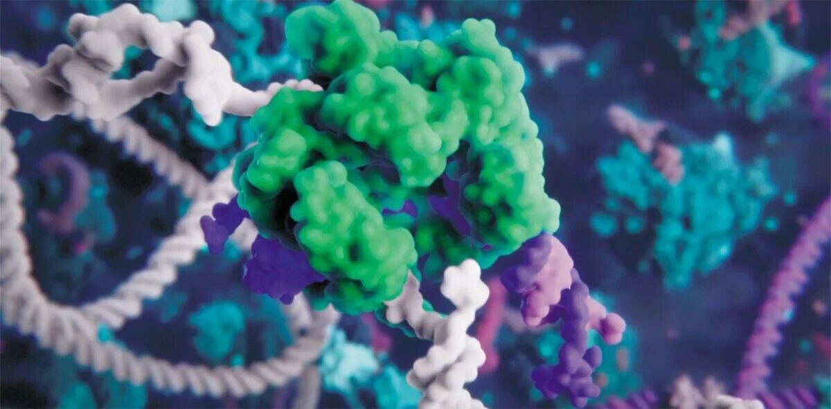 РНК под микроскопом. ДНК растений под микроскопом. Молекула ДНК под микроскопом. ДНК И РНК под микроскопом.