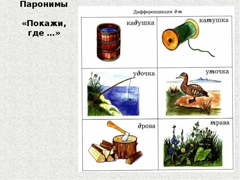 Паронимы картинки. Слова паронимы в картинках. Паронимы для детей. Паронимы примеры для детей. Легкие слова паронимы