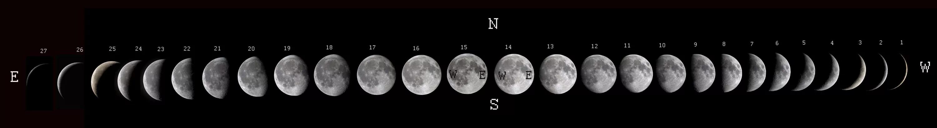 Луна в разные времена года. Фазы Луны. Разные формы Луны. Фазы Луны фото. Цикл лунных фаз.