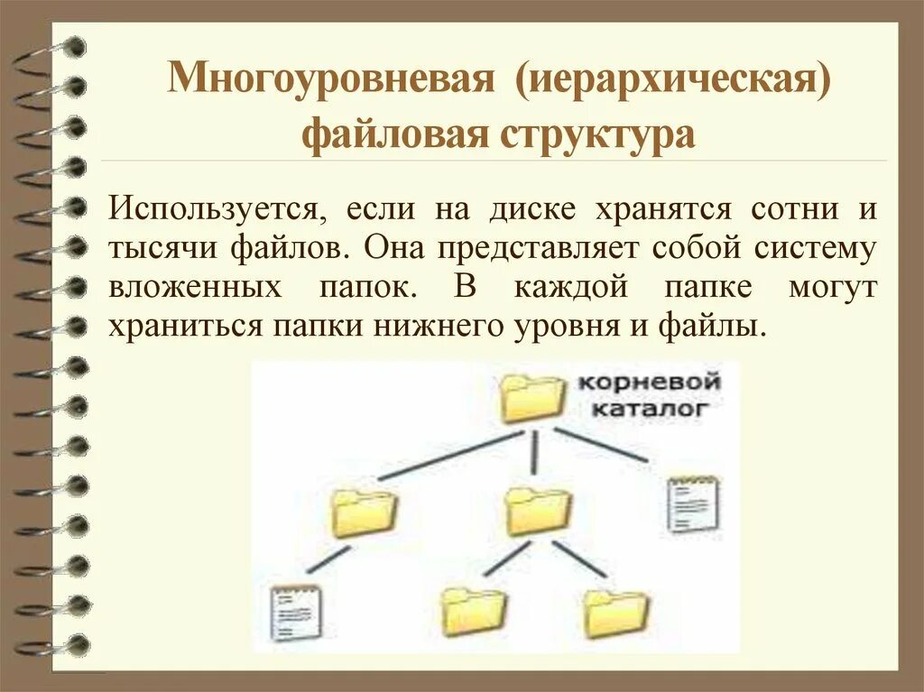 Файлы и файловые структуры. Файловая структура. Многоуровневая файловая структура. Структура папок и файлов. Как организованы папки