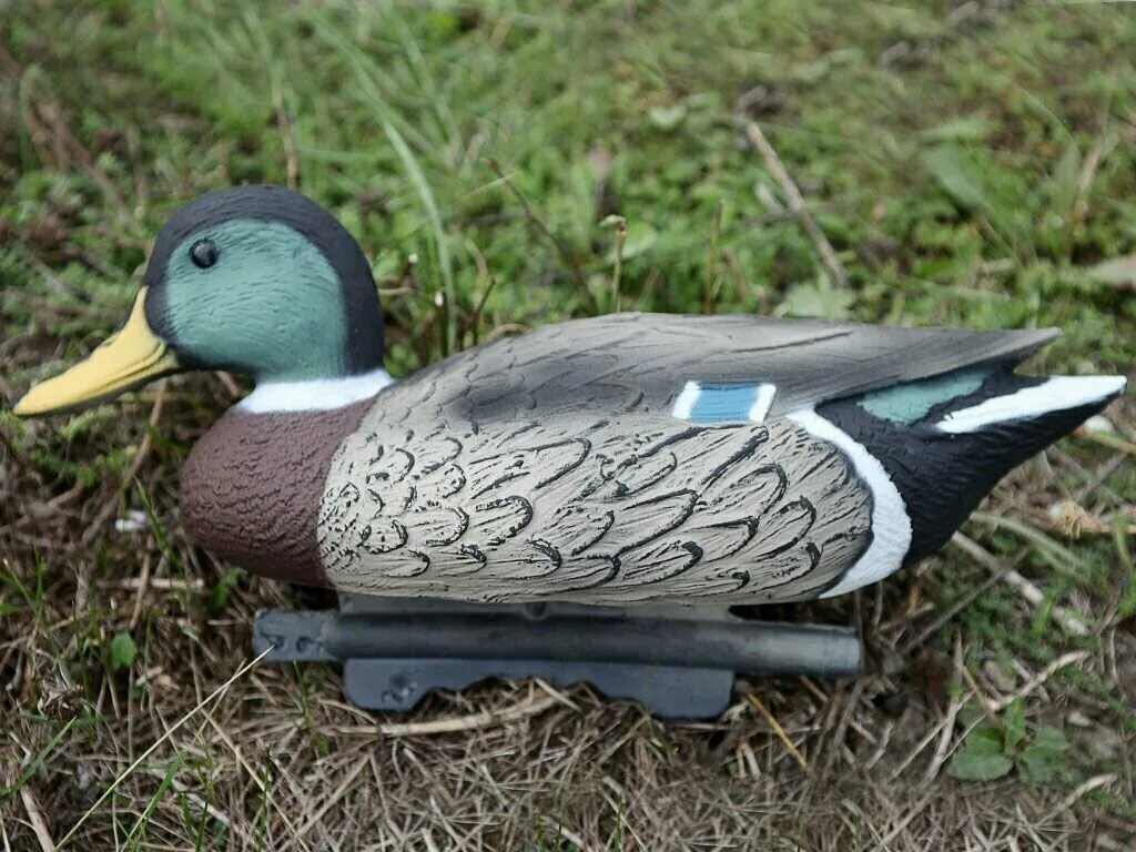 луток чучело утки. утка сантехническая. селезень подсадной утки. утка серебрянка подсадная. утка продам.