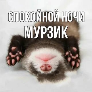 Спокойно появляться