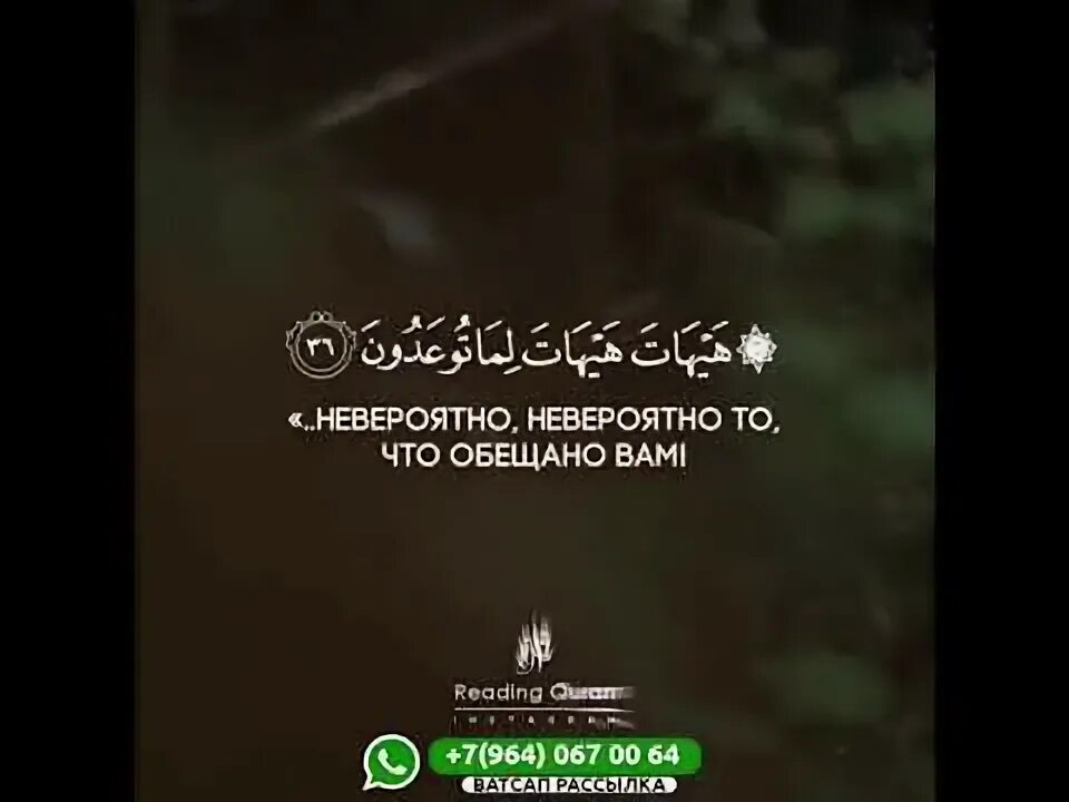 Сура аль муминун. Сура аль муминун текст. Сура аль муминун ясир ад. 115–118 аяты суры аль-муминун. Аль муминун 115 аят сура.