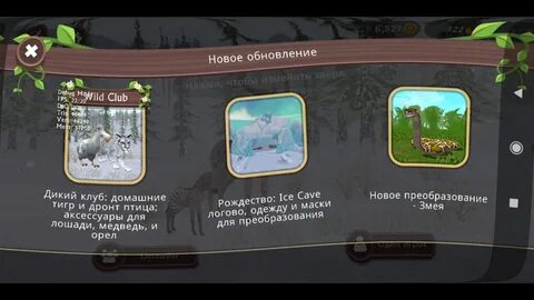 Обновления в вилд