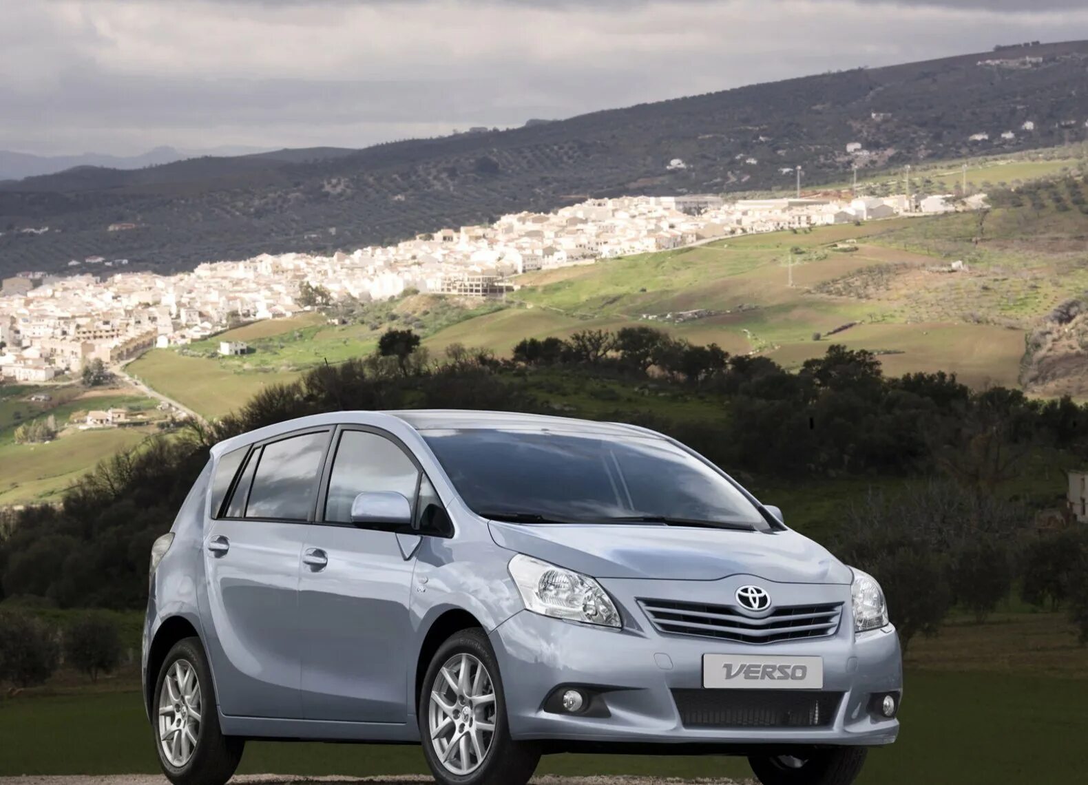 2010 model