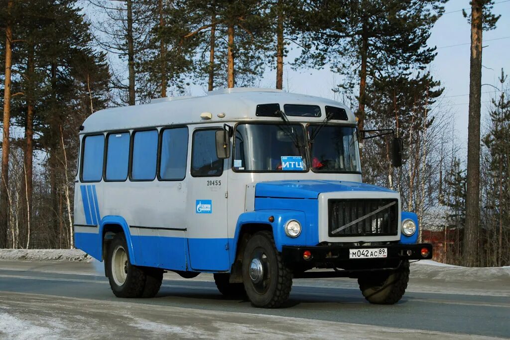 КАВЗ 3976. ГАЗ КАВЗ 3976. КАВЗ-3976 автобус. КАВЗ 3976 СССР. Газ пазик