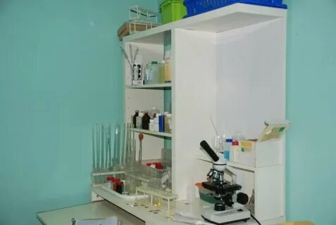 Ветеринарные клиники тула адреса