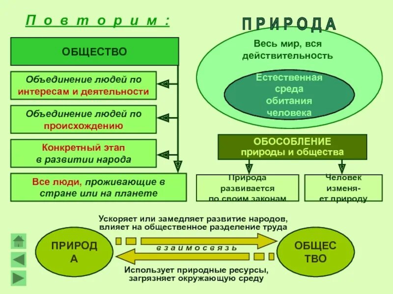 Что характеризует природу как систему