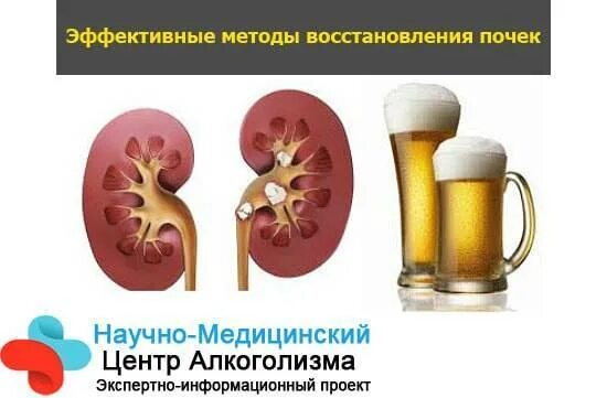 Факторы развития хронической почечной недостаточности. Факторы влияющие на работу почек. Как питание влияет на работу почек. Информация о почках человека. Факторы влияющие на почки.