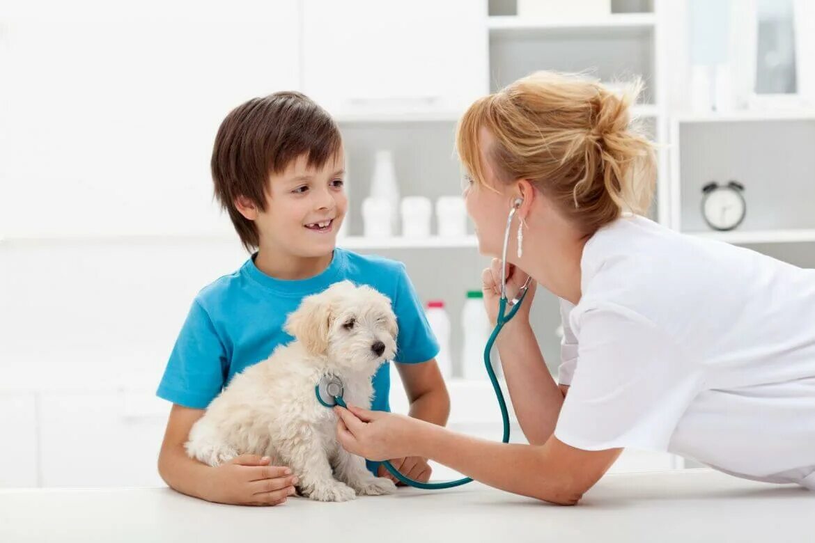 Ветеринар. Ветеринария для детей. Ветеринар для детей. Собака со стетоскопом.