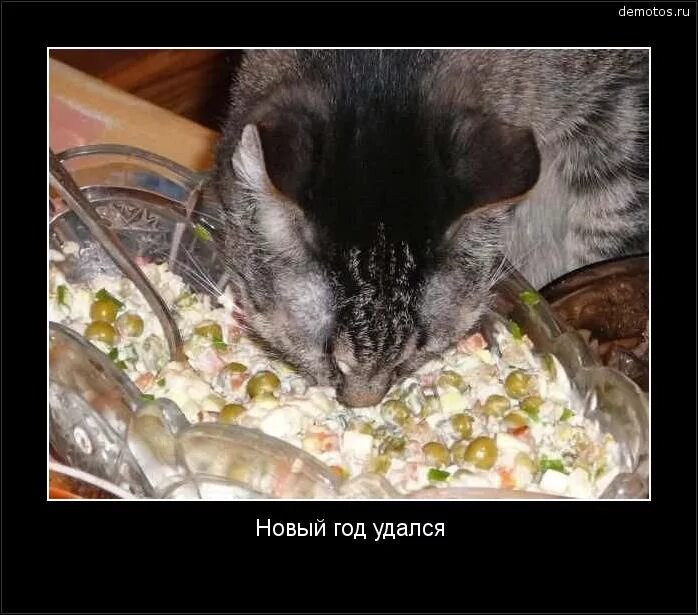 Новый год удался. Новый год удался. Новогодняя пьянка. Новогодняя пьянка. Креативная новогодняя реклама.