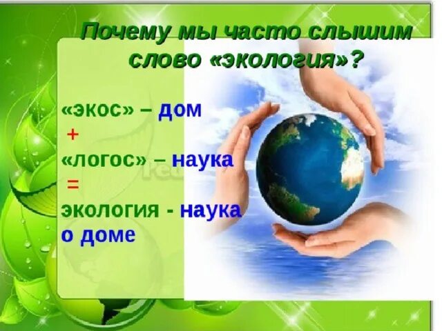 Экология для дошкольников. Экология это 1 класс окружающему миру. Почему мы часто слышим слово экология. Почему мы часто слышим слово экология рисунок. Почему мы часто слышим слово экология.
