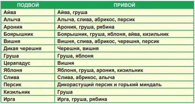 Совместимость посадки плодовых деревьев. Таблица совместимости прививки плодовых деревьев. совместимость подвоя и привоя плодовых деревьев таблица. таблица прививок деревьев и кустарников. привой подвой таблица.