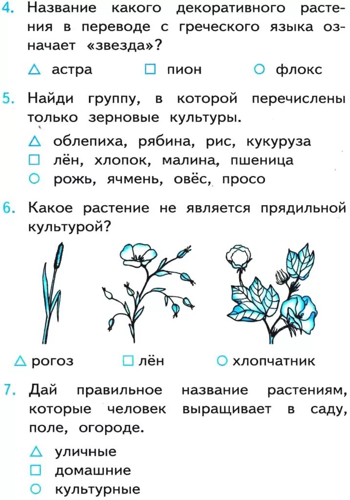 Проверочная работа цветок на земле 3 класс