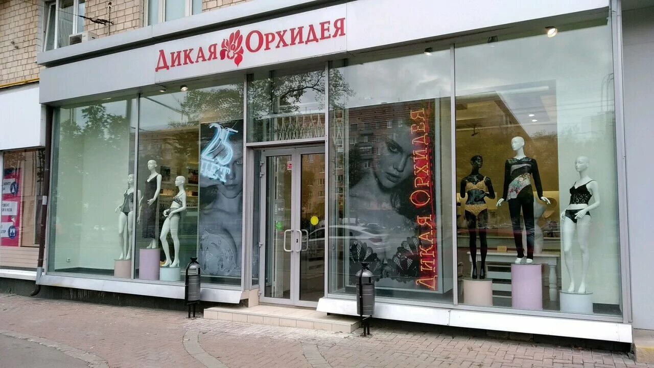 дикая орхидея магазин