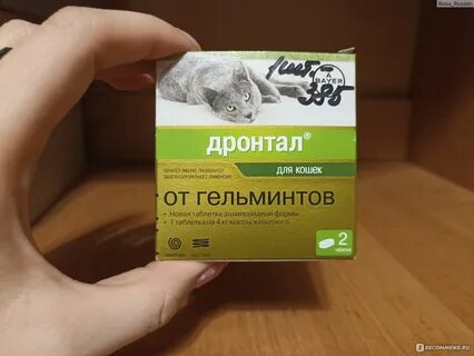 Elanco дронтал отзывы