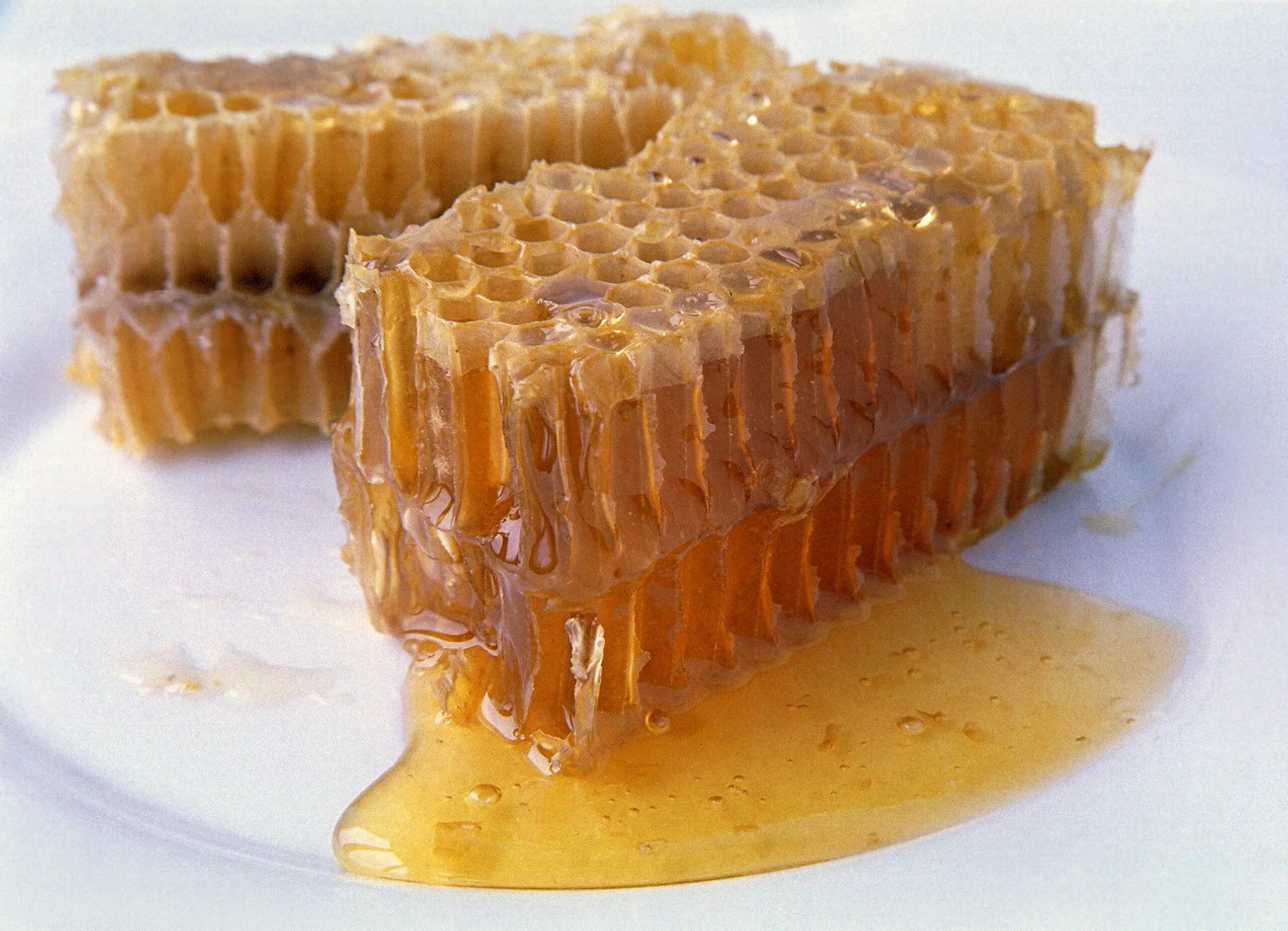 Мёд в сотах. Соты пчелиные. Медовые соты. Цветочный мед в сотах.