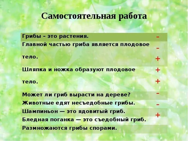 Задания про грибы 2 класс. Тест на тему грибы. Самостоятельная работа на тему грибы. Задания на тему грибы 3 класс.