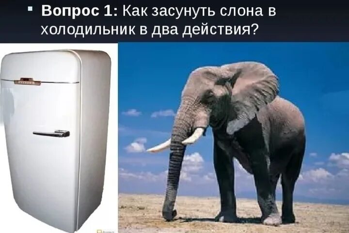 Как засунуть слона в холодильник. Слон в холодильнике. Загадка про слона в холодильнике. Положить слона в холодильник.