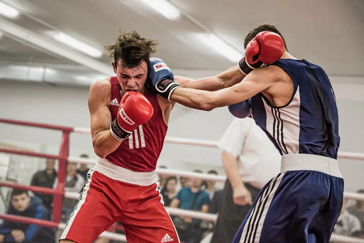 моды на мелан сан бокс. Fight night champion xbox 360. бокс постройка в майнкрафте. фото боксеров зарафшан. Dogon sani бокс.