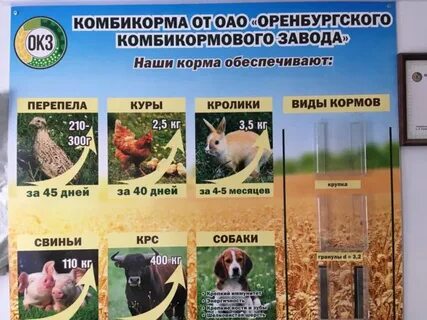Комбикорм оренбург