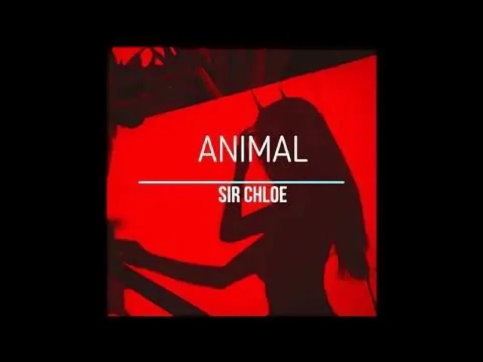 Обложка альбома sir chloe. Animal sir chloe. Sir chloe. Sir chloe animal перевод. Animal sir chloe.