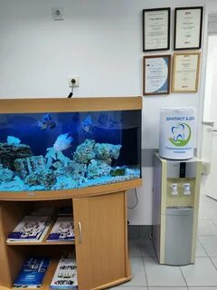 Центр пангея на преображенке