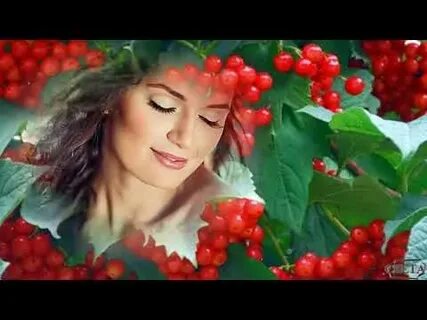 Калина над водою минус песни