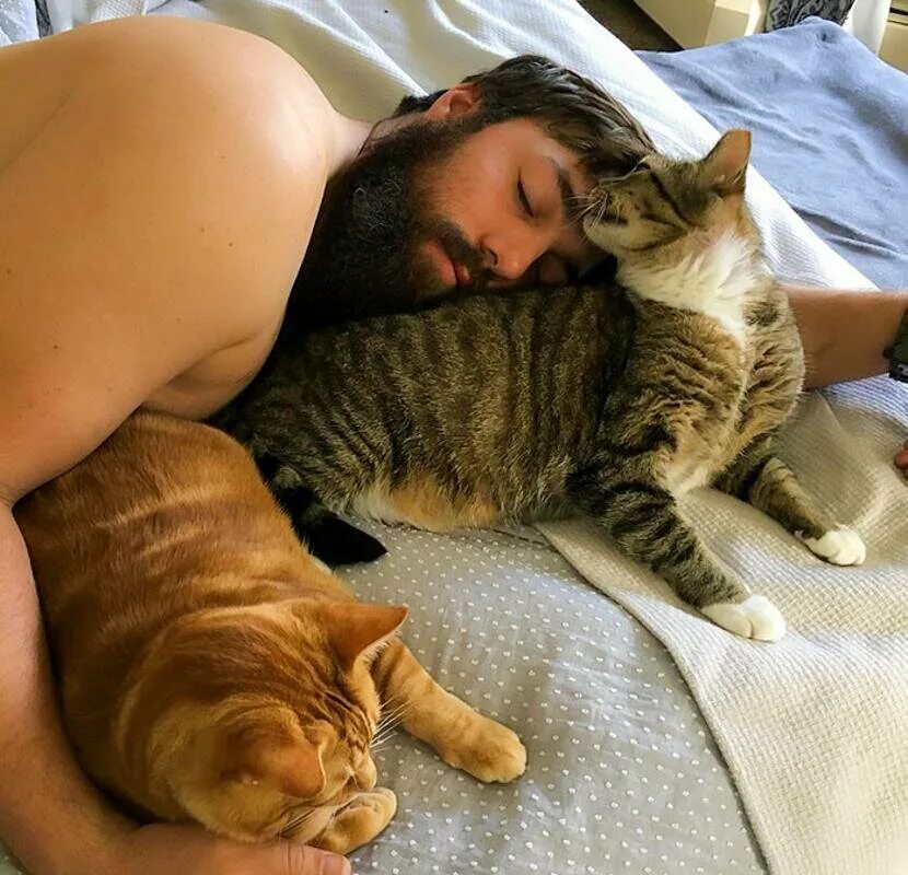 Мужик с котом. Мужчина женщина и кот. Кошка и хозяин. Фотосессия с мужем и котом. Мужчина любящие кошек
