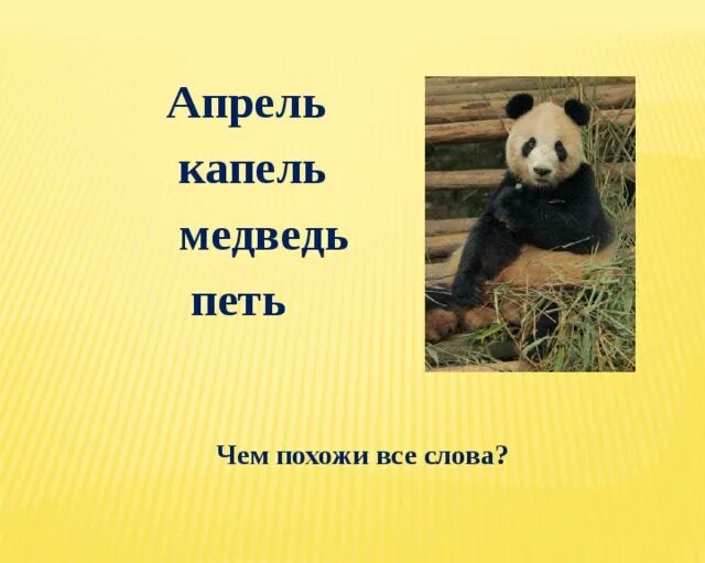 Анализ слова медведь. Медведь в апреле. Слово медведь. Предложение со словом медведь. Схема слова медведь.