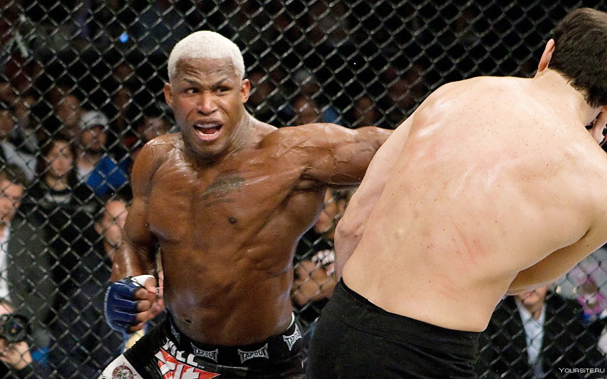 Кевин ufc. Кевин рэндлмен. боец юфс кевин. кевин ренделман фото. кевин монстр ренделман.