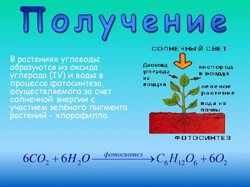 Фотосинтез растений. В процессе фотосинтеза образуются углеводы. Углерод образуется в процессе. Углеводы в процессе фотосинтеза образуются из. Источник углерода для растений образуется