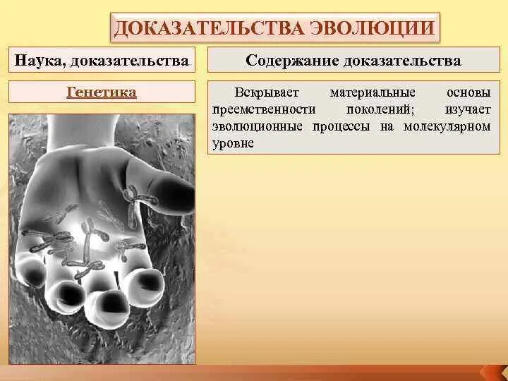 Содержание доказательства. Содержание доказательства