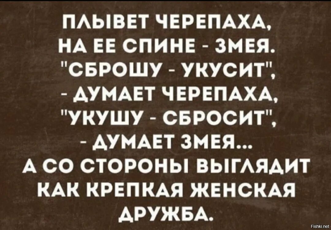 Коллектив выражения. Цитаты про коллектив. высказывания о женском коллективе. женская дружба цитаты. цитаты про женский коллектив.