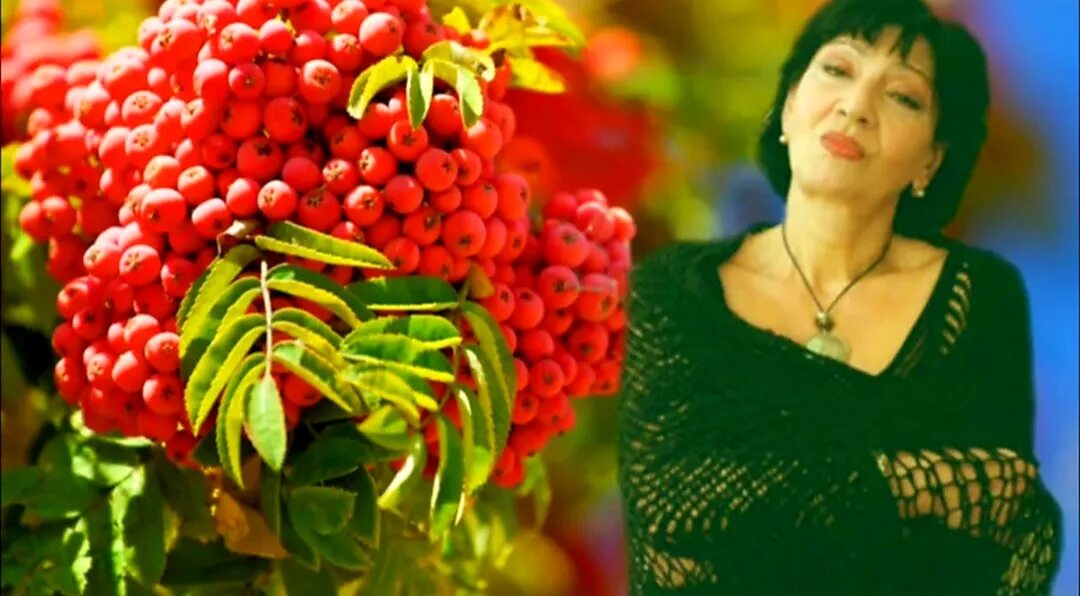 Ах эта красная рябина слушать