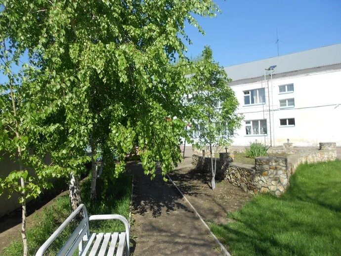 Березовский психоневрологический интернат воронежская область. Березовский детский дом. «березовский психоневрологический интернат». Березовский психоневрологический интернат. Березовский интернат.