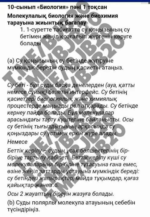 10 сынып информатика жмб. 10 сынып информатика жмб