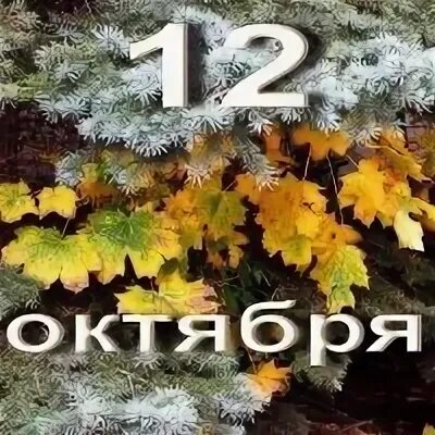 10 12 октября