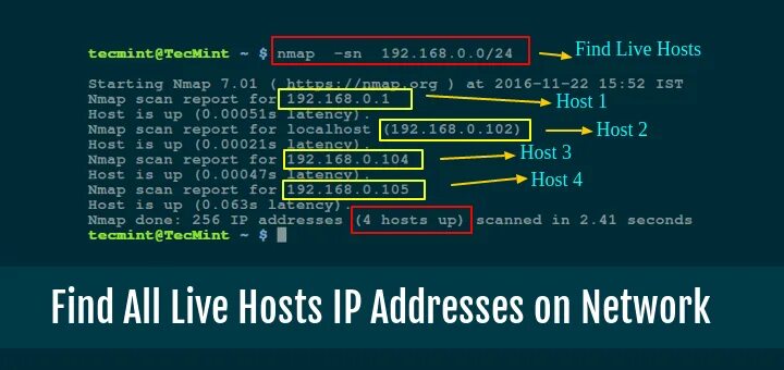 IP Linux. Как узнать IP адрес в Linux. Хост в IP адресе это. Nmap схема. Live address